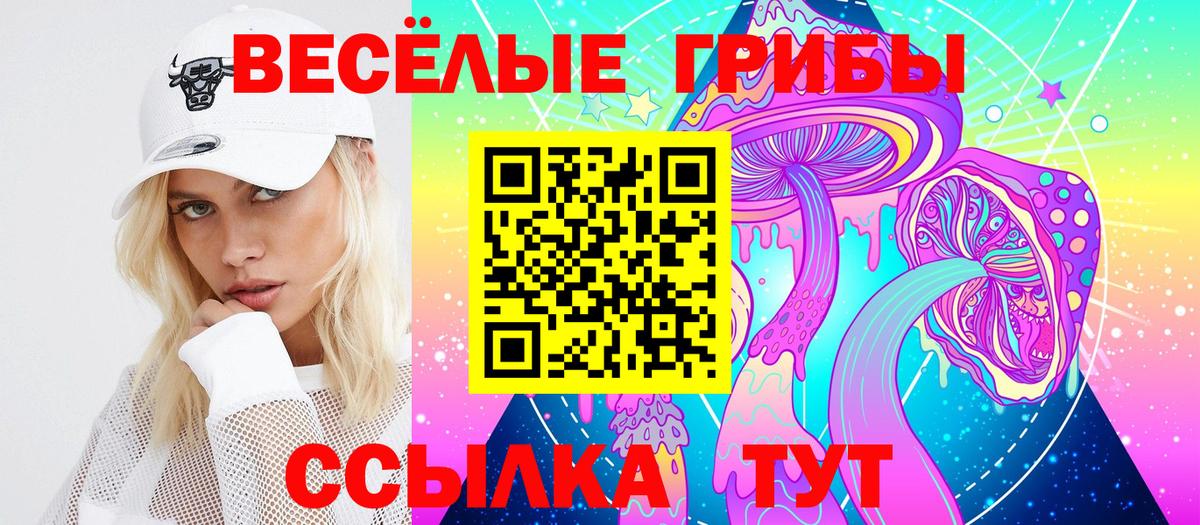 Аргун  Псилоцибиновые грибы GOLDEN TEACHER  Вход с VPN 